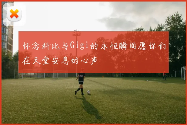 怀念科比与Gigi的永恒瞬间愿你们在天堂安息的心声