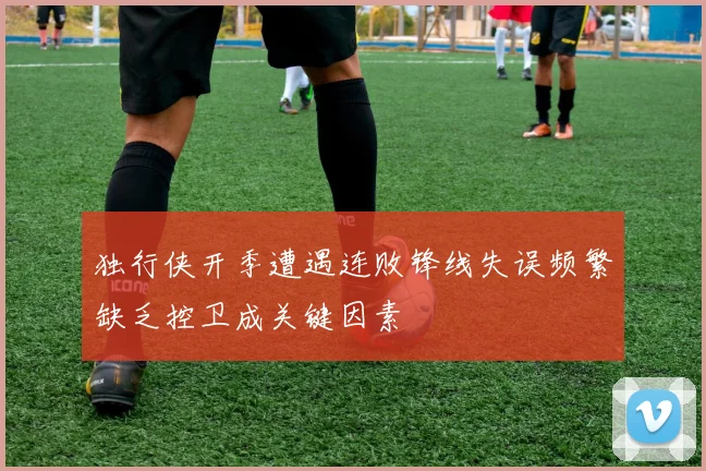 独行侠开季遭遇连败锋线失误频繁缺乏控卫成关键因素
